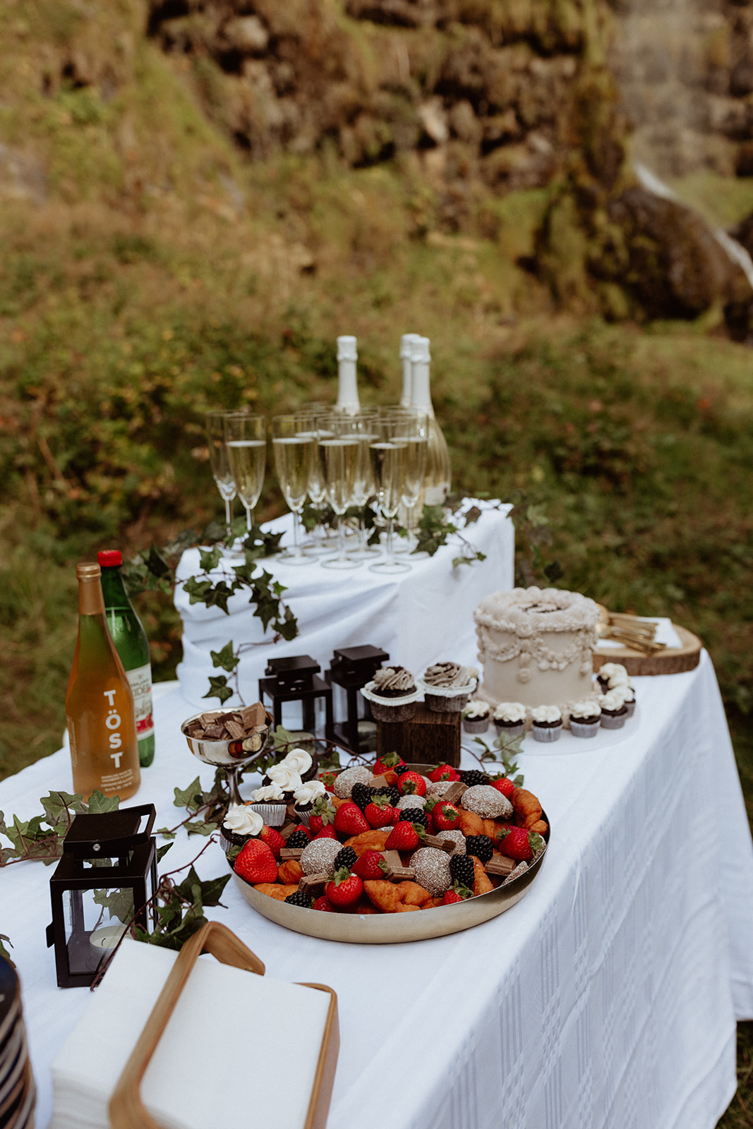 Gourmet food, champagne, and a beautiful cake set up for the elopement celebration at Thornsteins Grove, arranged by Pink Iceland.
