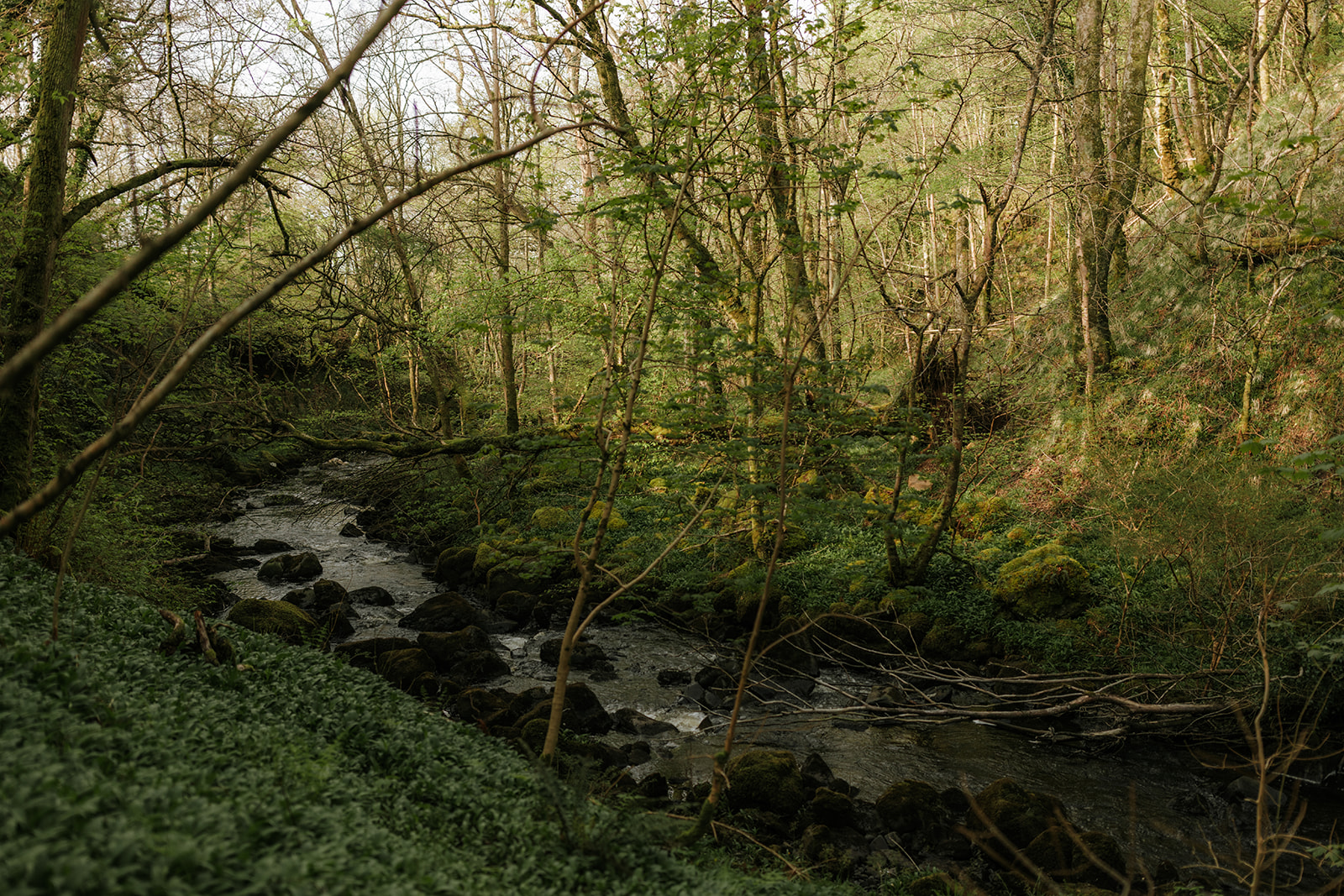 Walking along a waterfall trail surrounded by lush greenery on the Isle of Skye