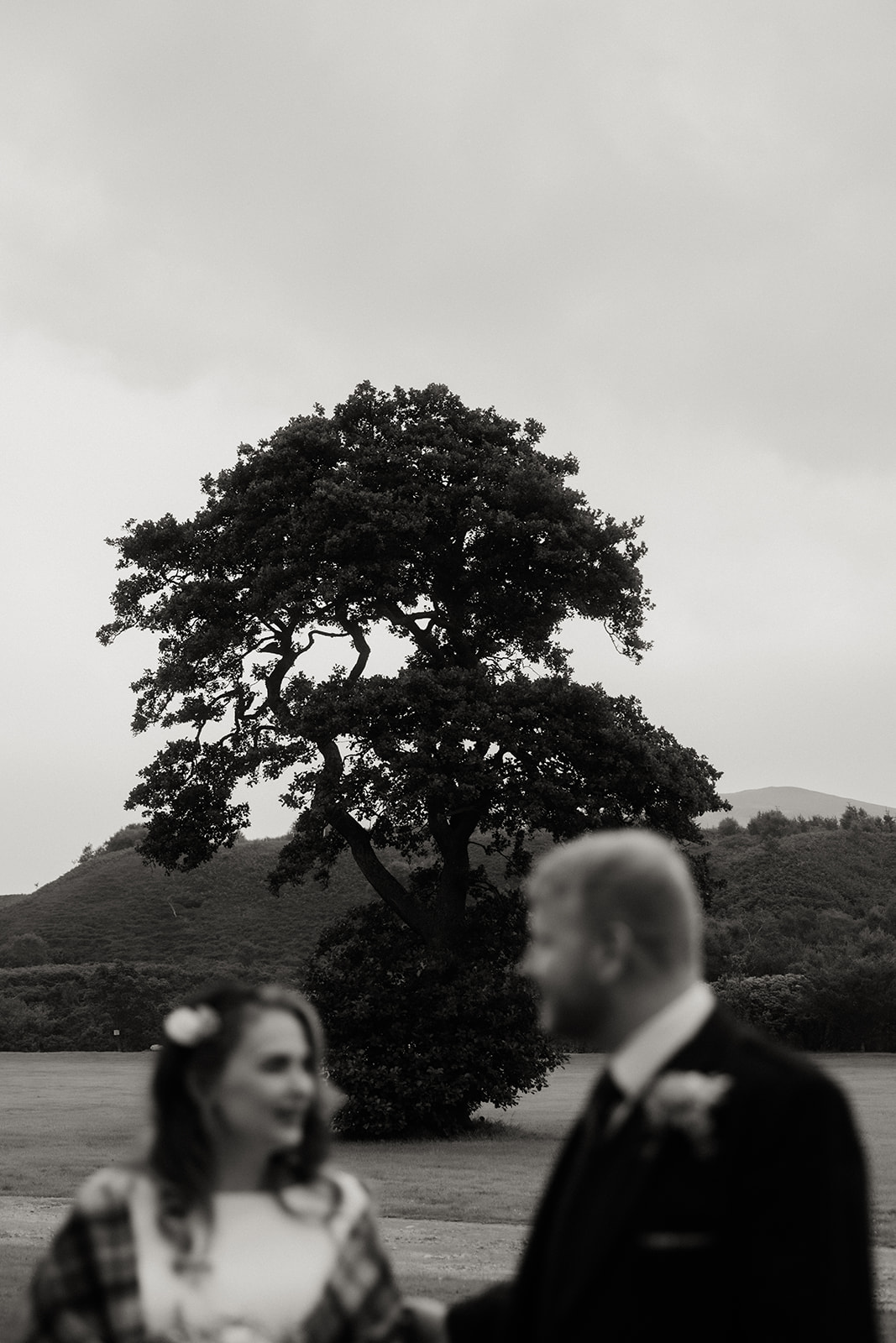 Black and white photograph of couple with large tree in background during Isle of Arran elopement.