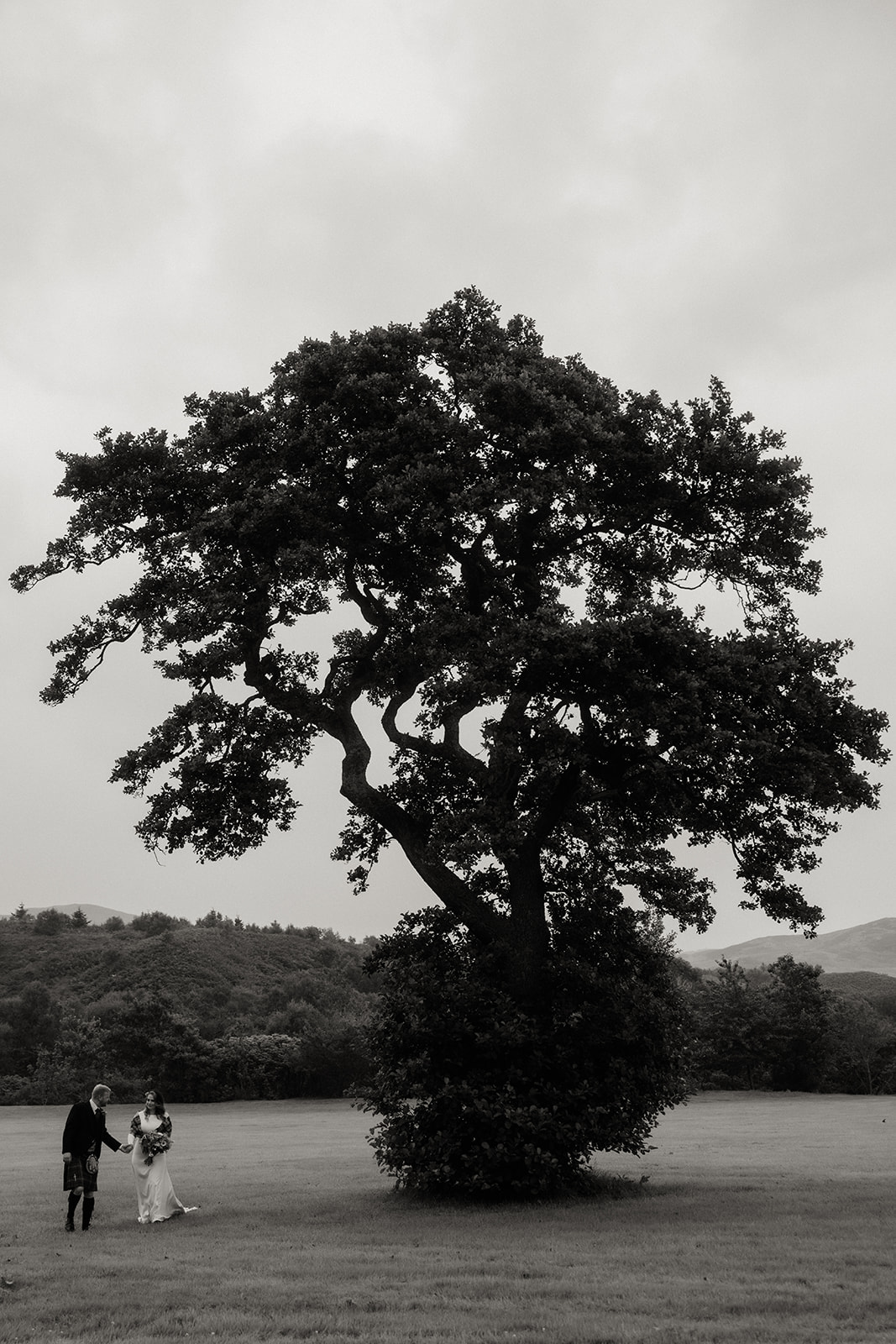 Black and white photograph of large tree on Isle of Arran.