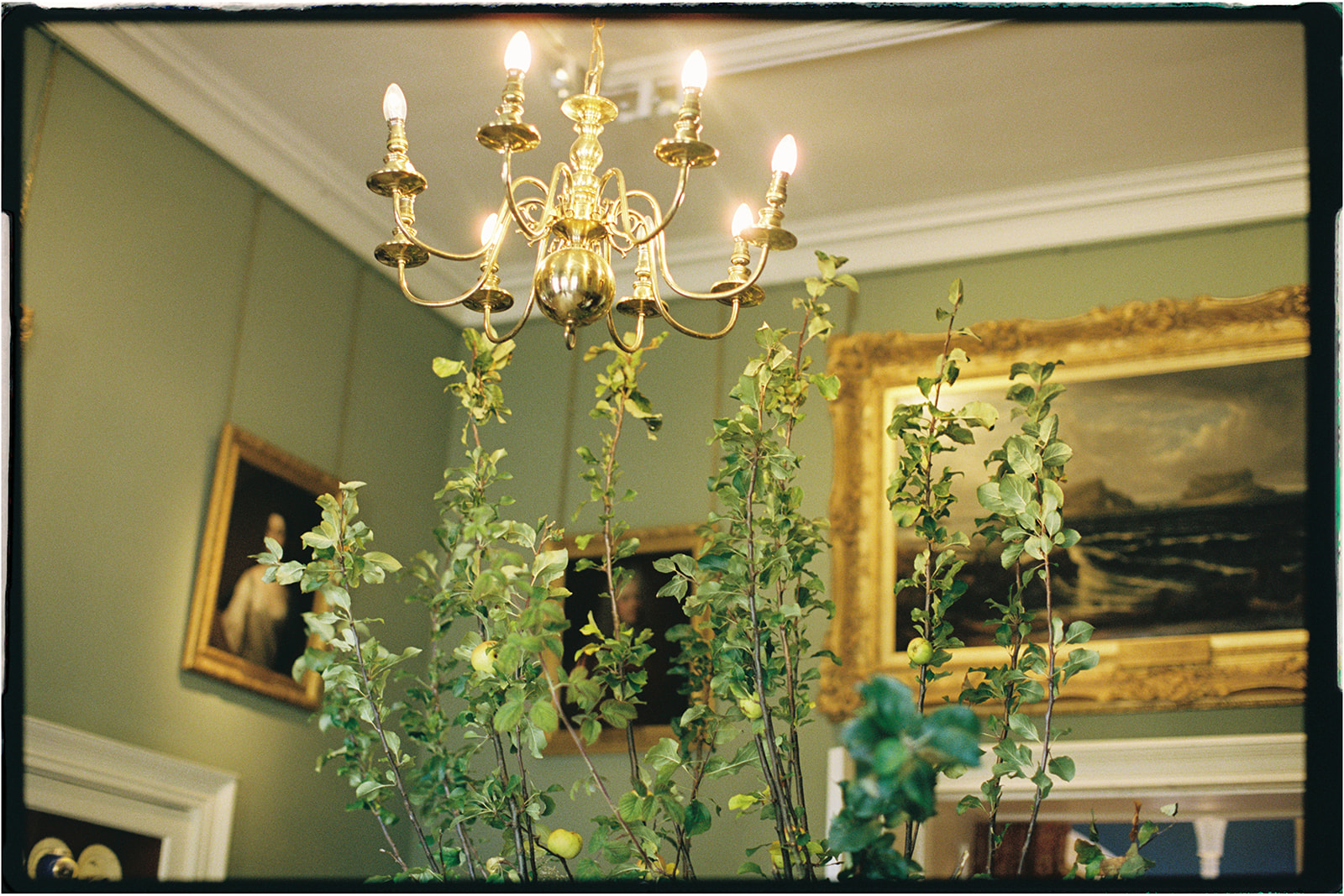 Branches and greenery arranged beneath a golden chandelier at Winton Castle